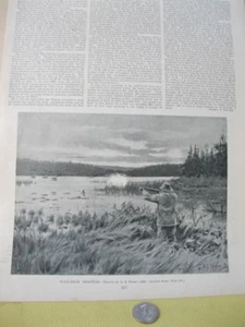 Vintage Print,WILD DUCK SHOOTING,A.B.Frost,Harpers Weekly,c1908 - Picture 1 of 1