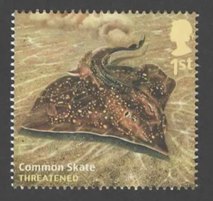 2014 SG 3614 1st Common Skate from 'Sustainable Fish & Threatened Fish' set MINT - Picture 1 of 1