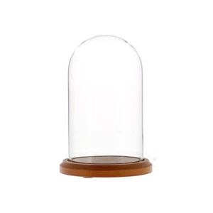 Glass Display Dome Cloche 4" x 7" with Walnut Base - Picture 1 of 2