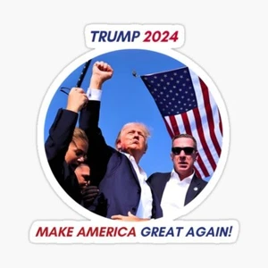 DONALD TRUMP 7/13 Attempted Assassination make America great Sticker MAGA - Picture 1 of 1