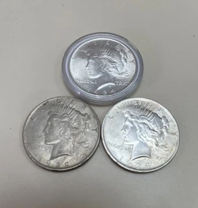 XF Lote de (3) Monedas de Dólares de la Paz - Imagen 1 de 5