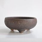 Wonder Shigaraki ware bonsai pot No. 5 stone iron pot tea width 14cm Japan