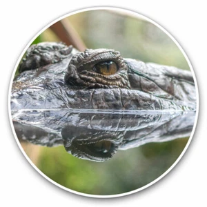 2 x Vinyl Aufkleber 7,5 cm - Krokodil Alligator Reptil Krokodil cool Geschenk #12341 - Bild 1 von 9