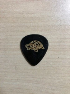 Paquete de 2 púas de guitarra cuerno orgánico Papas Turtle Chips - Imagen 1 de 1