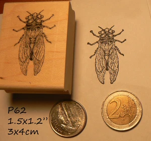 P60 Cicada insetto, timbro gomma insetti - Foto 1 di 1