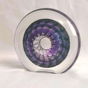 Signed Large Tom Philabaum 2007 Dichroic Art Glass Reptilian Faceted Paperweight - Picture 1 of 22