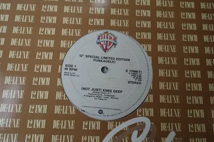 FUNKADELIC 12" (NOT JUST) KNEE DEEP b/w ONE NATION UNDER A GROOVE UK WBROS 1979 - Picture 1 of 2