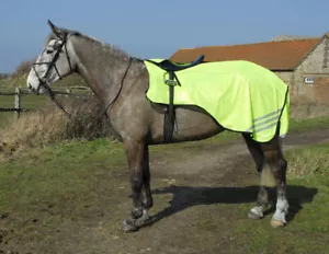 Rhinegold Cutaway 3/4 Mesh Ride on Horse Rug | Yellow | Pony, Cob, Full, XFull - Picture 1 of 2