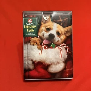 Avanti Press Christmas Cards / Corgi Holding Stocking / Box of 14 Cute Dog - Picture 1 of 3