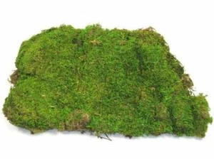 Sheet Moss 8 lb. Box - Picture 1 of 1