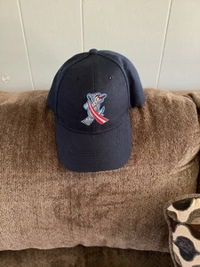 Cappello berretto uomo Corpus Christi Hooks con cinturino posteriore, logo ricamato bandiera USA blu - Foto 1 di 4