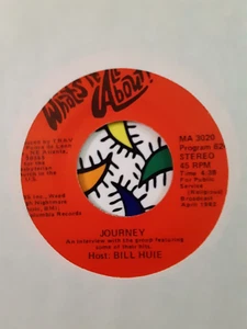 BILL HUIE-WHAT'S IT ALL ABOUT?-JOURNEY-POINTER SISTERS 7" 45 RPM(MINT) Interview - Picture 1 of 4