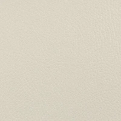 Kunstleder / Lederimitat, Swafing, Rex, Farbe Natur / Cremeweiß, Breite 140 cm