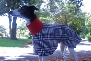 Whippet Dog Coat 50 - 55cm (Winter) Jacquard & Fleece & Collar (Small check) - Picture 1 of 3