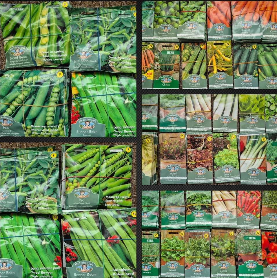 Mixed Job Lots of Mr Fothergill's HERB & VEG Seeds - more you buy,more you save! - Image 1 of 4