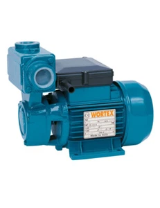 0,5 HP Monofase Wortex PM 50A Elettropompa Periferica Autoadescante - Foto 1 di 1