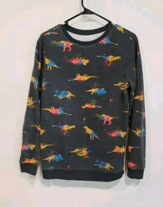 Cat and Jack Sweatshirt Youth XL 16 Gray Dinosaur artist long sleeve Soft Crew - Picture 1 of 9