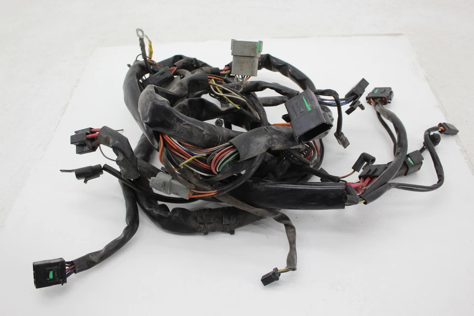 Arnés de cableado del motor principal Harley-Davidson Road King Flhri 2003 03 Foto 1 de 4