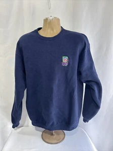 Vintage NFL Sunday Ticket Sweater Pullover Fruit Of The Loom Size Large Y2K  - Picture 1 of 8