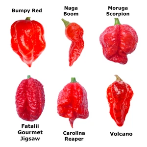 Worlds HOTTEST Chili - 24 Samen - 6 Sorten inkl. Carolina Reaper - FRISCHE SAMEN - Bild 1 von 1