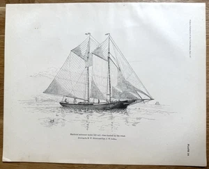 Makrele Schoner unter vollem Segel 1887 Original antiker Druck - Bild 1 von 9
