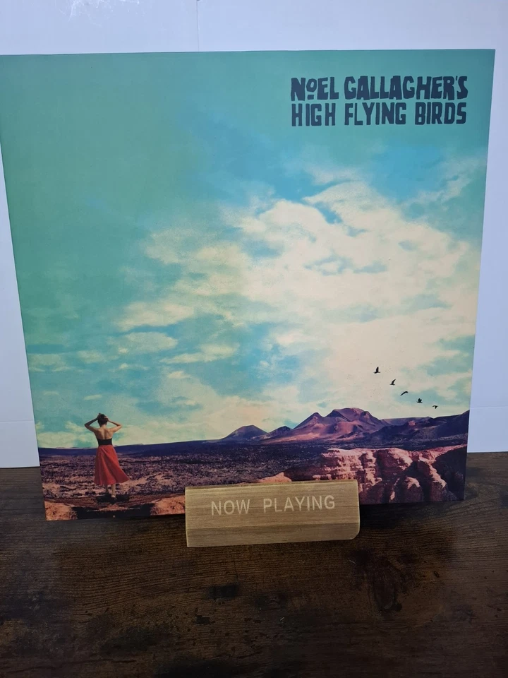 NOEL GALLAGHERS HIGH FLYING BIRDS-WHO BUILT THE MOON, VINYL LP 2017, NM /NM — 第 1/4 张图片