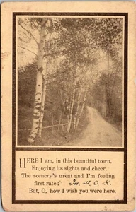 Beautiful Town Scenery Greetings Postcard 1911 Posted - Picture 1 of 2