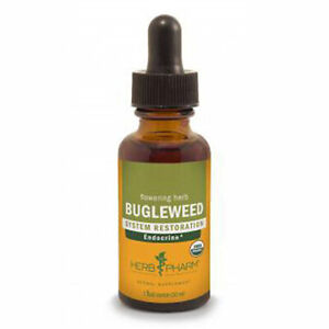 Bugleweed Extract 4 Oz  by Herb Pharm