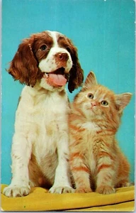 Pals Puppy and Kitten Postcard - Picture 1 of 2