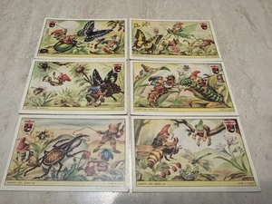 Serie Insetti nel bosco figurine cartonate Lavazza 1950 vintage da collezione - Imagen 1 de 2