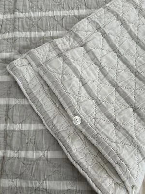 Almohada Euro acolchada de algodón Pine Cone Hill farsa rayas reversibles tostadas y naturales Foto 1 de 4