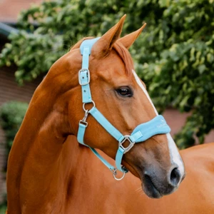 Horseware Ireland Signature Grooming Headcollar - Picture 1 of 12