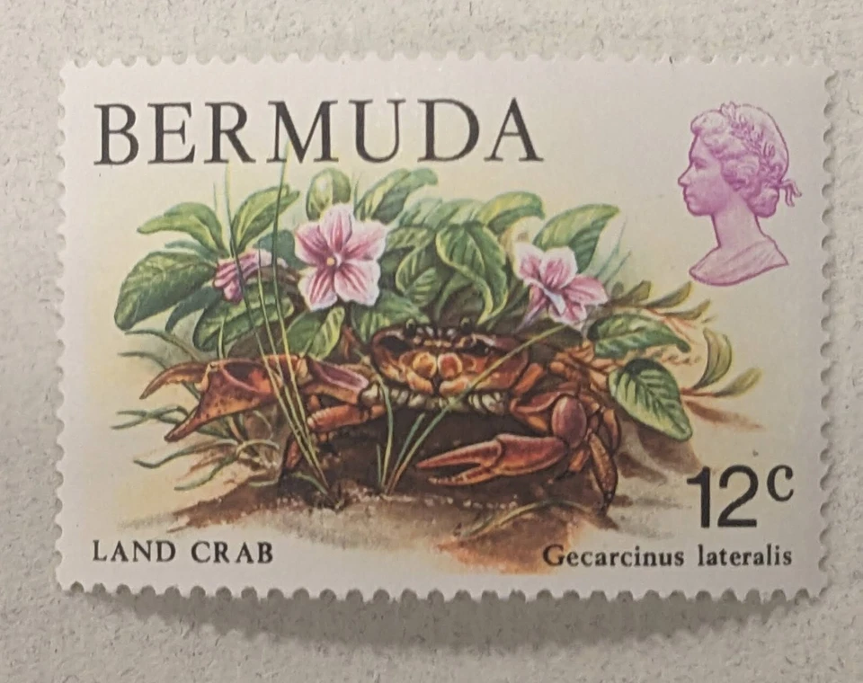BERMUDA 369 (SG393) - Land Crab "Gecarcinus lateralis" MNH Stamp — 第 1/1 张图片