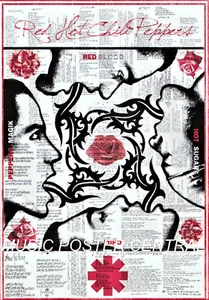 Red Hot Chili Peppers 11x14 Hot Sugar schwarzweiß/farbiges Poster - Bild 1 von 1
