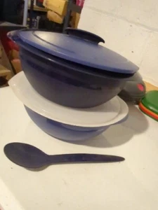 Tupperware Thermo Oval Servierschüssel Set Blau 3,1 Liter #4946 Löffel 5 Teile - Bild 1 von 6