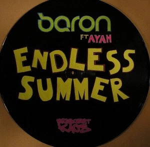 DJ Baron - Endless Summer - Breakbeat Kaos picture disc Jungle Drum&Bass Mint - Picture 1 of 2