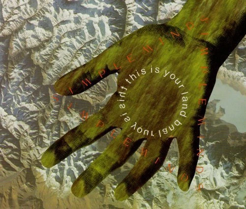 Simple Minds This is your land (1989) [Maxi-CD] - Bild 1 von 1