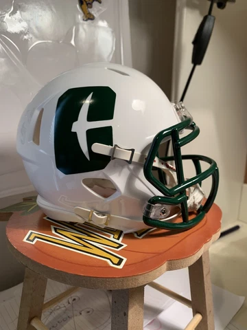 Custom UNC Charlotte 49ers Speed Mini Helmet Cover