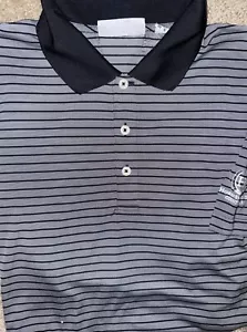 Mens Ashworth Horseshoe Bend Short Sleeve Striped Polo Shirt Large - EUC - Picture 1 of 2