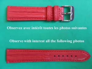 22 MM strap Waterproof Shark Real Red Type Breitling Double Bangle - Bild 1 von 16