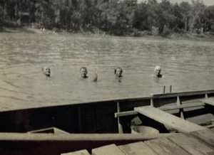 Four Heads In The Water From Rowboat B&W Photograph 3.25 x 3.5 - Picture 1 of 3