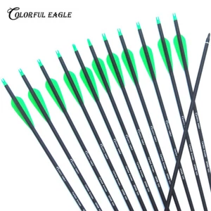 SP500 Archery Carbon Arrows Screw-in Broadheads Recurve Compound Bow Hunting - Imagen 1 de 10