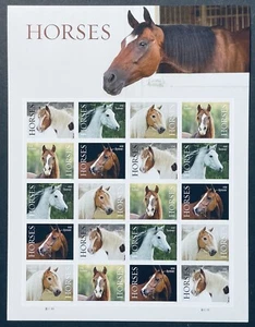 US HORSES FOREVER STAMPS SHEET OF 20V MNH 2024 SCOTT #5891-95 ANIMALS HORSE - Picture 1 of 1
