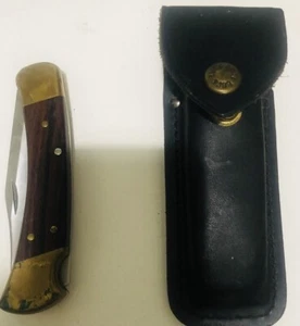 Buck 110C Custom Lockback Folding Hunter Knife With Sheth - Picture 1 of 1