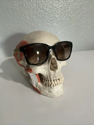 Gafas de sol Salvatore Ferragamo unisex Sf716S negras suaves amarillas Foto 1 de 4