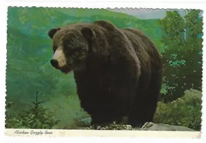 VTG Postcard - ALASKAN GRIZZLY BEAR-One of the Most Vicious Bears of Alaska - Imagen 1 de 2