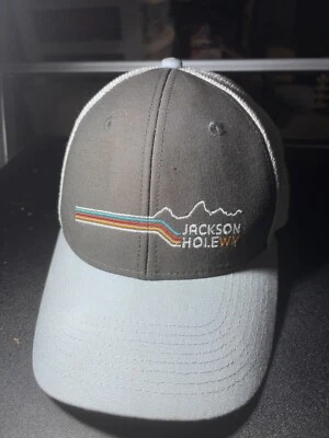 MUY CHULO JACKSON HOLE WYOMING EN MUY BUEN ESTADO  Foto 1 de 4