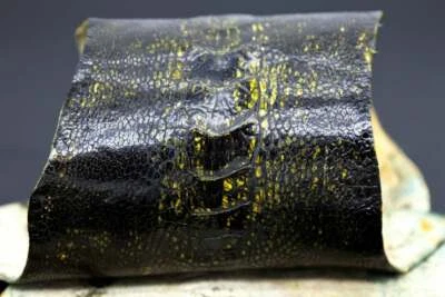 Genuine Veg Ostrich Leg Skin Leather Hide Glazed Black - Image 1 of 4