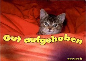 Reklame Werbung Motiv-AK mit Katze Cat "Gut aufgehoben" Postkarte aus Chemnitz - Bild 1 von 2