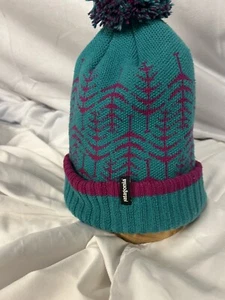 Patagonia Winter Ski Hat Beanie with Puff ball Powder Teal And Pink - Picture 1 of 4